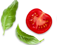 tomato_shape